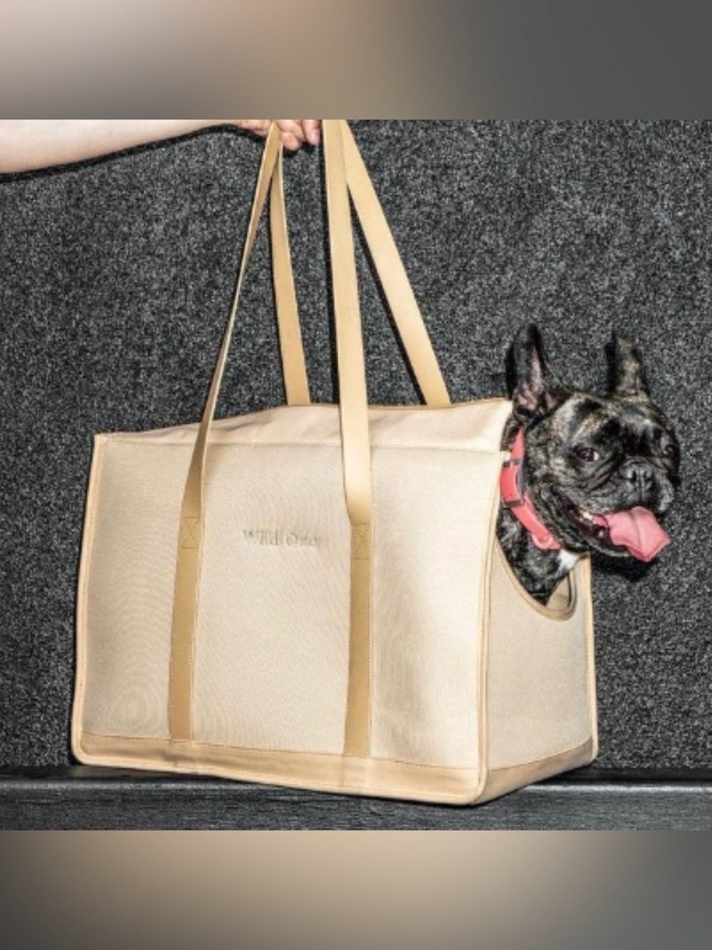 Beige Canvas Pet Tote Bag (Wild One)